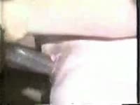 Wet pussy takes in a huge dick of a horse